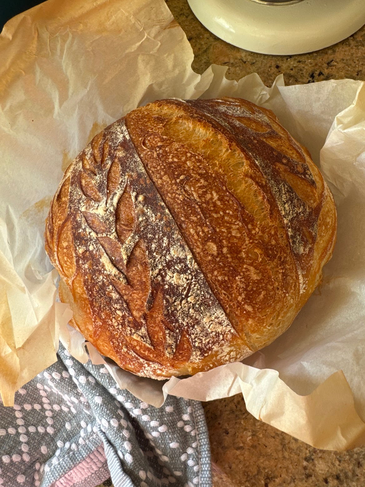 Organic Whole Wheat Sourdough Loaf